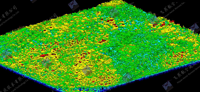 飛燕遙感激光點云成果林業(yè)CHM(1).jpg